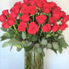4 dozen roses carefully arranged to show their beauty.  A most