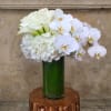 One dozen premium white Roses, 10 stems Calla Lilies, 3 stems Phalaenopsis