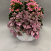 Hot pink blooms with hot pink splash plants in a white wash