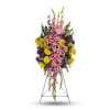 The glorious pink, yellow and purple blooms of this bright, uplifting spray