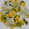 Bouquet of yellow deysis and white lilies, the color of the paper