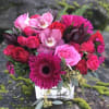 Perfect color combination of deep red, hot pink sure to please you
