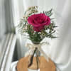 One of our freshest Roses arranged in a bud vase with white