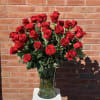 Four dozen long stem roses
