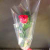 1 red rose wrapped with a ribbon. Available as a pick up