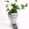 Add some quirkiness to your home with Busties - busts with plants