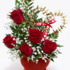 A timeless expression of love,  This romantic arrangment features half a
