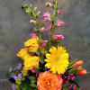  Mix of flowers what is in season and availability color and