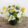 This whimsical vase arrangement features white Ornithogalum (or starflower), which is a