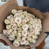 A delicate and elegant bouquet of 50 cream-colored roses, exuding timeless sophistication