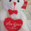 10in Plush white/red bear add to any floral or balloon bouquet