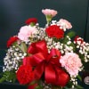 Enjoy One Dozen mixed red, white and pink carnations with greenery and