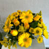 A low compact arrangment of mixed flowers in tones of yellow such