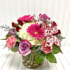 This mix of Valentine Day flowers of roses, gerber daisies and hydrangea