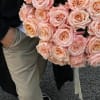 50 Peach Shimmer Roses