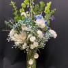 Vase
Ornamental cabbage, light blue delphinium, bells of irleand, white carnations and mini