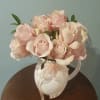 12&nbsp;stems, Amazing pink&nbsp;garden roses in a gorgeous large white ceramic pitcher, breathtaking