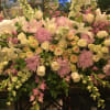 Rich white &amp; pink roses are gorgeously arranged amongst lush greens and