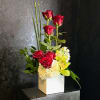 Our delightfully tall half-dozen roses trail their way upwards, along with fun