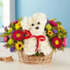 Unleash the smiles with our original pup arrangement! Hand-designed inside a basket