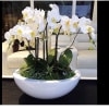 4 DOUBLE  CASCADING WHITE PHALANOPSIS ORCHIDS IN A CERAMIC VASE WITH
