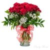 18 gorgeous long stem red roses all dressed up with baby's breathe