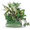 This low bowl filled with living plants will also carry comfort and