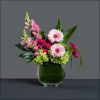 Pretty arrangement in pinks, including gerbera, hydrangea, snaps, dianthus, Spray roses,
accented with