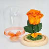 Bright and joyful, this real Ecuadorian rose in vivid orange is preserved
