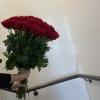 25 red roses wrapped