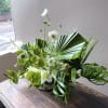 A lush green arrangement that captures the essence of botanical dreams! Bursting