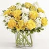 Yellow &amp; White Delight
Bouquet