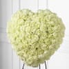 Heart is an exquisite display of peace and love. 77 Stems of