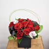 Rich and luxurious, a dozen red roses are designed in a black