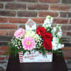 Colorful and impactful, this arrangement of roses, stock, hydrangea, gerbera daisies, babysbreath