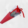 A bold and elegant choice, this rose comes beautifully packaged in a