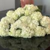 15 stems of white hydrangea wrapped in floral paper.