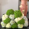 A total of 15 stems of green, blue, and white hydrangea wrapped