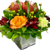 The Tropical Sophistication bouquet is made with pincushions orange roses, green hypericum
