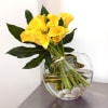 Bright, modern, and effortlessly striking, Sunlit Calla Elegance features a lush cluster