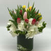 Colorful blend of 30 tulips with white hydrangea will make everyone happy