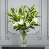 This item is sold by the bunch.
10 Stems/Bunch
Oriental Lily
Representing purity and virtue