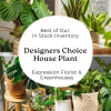 Let our designers choose the best house plant based on our In
