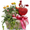 Love grows here. This lush Valentine&rsquo;s plant basket is a long-lasting expression