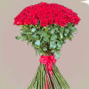  A burst of 150 long-stem red roses with lush green leaves