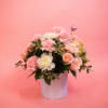 This charming compact arrangement features a lovely mix of pink carnations, white