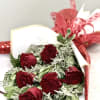 Enjoy a wrapped half-dozen red rose with fillers and greenery. This is