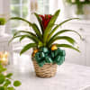 Bright, bold, and beautifully gift-ready, this Potted Bromeliad in Basket is a