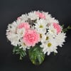 An eye-catching bouquet of pink roses (deluxe &amp; premium sizes), pink carnations