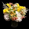 Calla Lilis Yellow, Parrot Tulips, Astilbe White, Ranunculus Butterfly